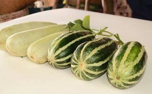 免费吃网红瓜群,免费加入吃瓜群，畅享娱乐圈最新资讯